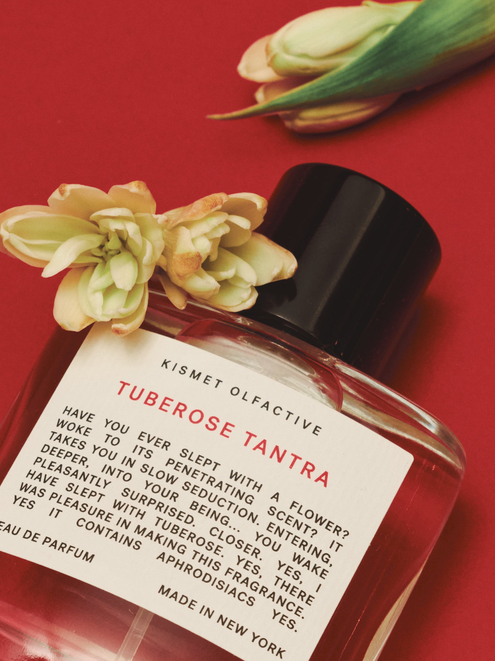 Perfume bottle labeled 'Tuberose Tantra' by Kismet Olfactive with flowers on a red background
